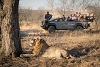 Lion Sands Game Reserve, South Africa